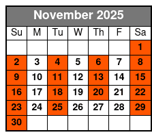 #1 Hits of the 60's Branson November Schedule