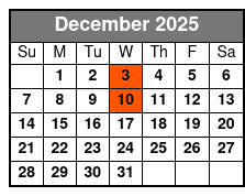 New Jersey Nights Christmas Show December Schedule