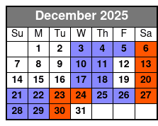 Reza Edge of Illusion Magic Show December Schedule