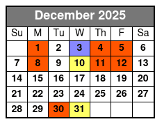 Duttons Family Christmas Show December Schedule