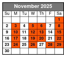 Escape Reality Magic & Illusions Christmas Show (No Meal) November Schedule
