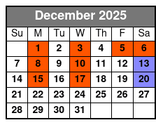 Escape Reality Magic & Illusions Christmas Show (No Meal) December Schedule