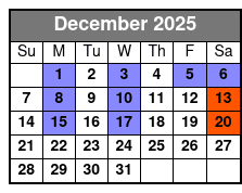 Escape Reality Magic & Illusions Dinner Show December Schedule