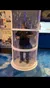 Hurricane Simulator