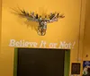 Many of the wax sculptures were very realistic. There were even props to use for  pictures.XYZAllison Mix - Byron, MN
