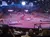 Arena Photo