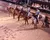 Horses in the Arena