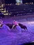 A blurred image captures a horse and rider in mid-action at an indoor equestrian event, with a crowd of spectators in the background.