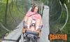 A person is enjoying a ride on an alpine coaster amidst lush green surroundings.