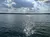 The image shows a serene lake with glistening water reflecting the sunlight, a treelined horizon, and a partly cloudy sky above.