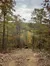 A vehicle trails through a rock-strewn path lined with autumn-tinted trees in a forest.