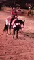 A person in a brightly colored cowboy outfit sits atop a black and white horse in a sandy arena, with other riders and an audience in the background.