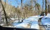 A vehicle drives along a snowy, dirt trail through a winter forest.