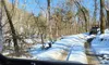 A snow-covered dirt trail winds through a forest, with an off-road vehicle driving ahead under a clear blue sky.