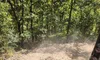 A view from inside a vehicle driving on a rugged dirt trail through a forested area.