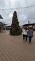 A large decorated Christmas tree stands on a wooden deck surrounded by people and festive lights under a cloudy sky.