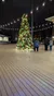 A large, decorated Christmas tree is illuminated at night with people walking nearby, surrounded by string lights.