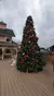 A tall Christmas tree decorated with ornaments and lights stands outside near a building with a sign reading