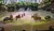 The image shows an indoor arena with an audience, featuring horses pulling carts and people dressed as lumberjacks in a themed performance.