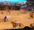 The image shows a lively equestrian performance with people on horseback and colorful barrels in a sandy arena, observed by a seated audience.
