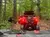 Multiple off-road vehicles are driving through a dense, wooded trail.