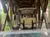 The image shows a golf cart driving through a wooden covered bridge, with another cart ahead, under a cloudy sky.