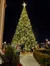 Giant Christmas Tree Lit Up Outside of the Miracle of Christmas at Sight and Sound Theatres Branson