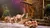 Loading Camels at Noah the Musical at Sight and Sound Theatres Branson