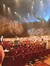 Arena for Noah The Musical at Sight & Sound Theatres Branson