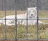 Best animal sanctuary i have ever been to..XYZKevin Krites - Leavenworth Kansas, Kansas
