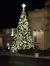 Close to Christmas Tree at Noah the Musical At Sight and Sound Theatres Branson