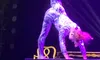 Amazing Acrobats Of Shanghai featuring Shanghai Circus - great seats!