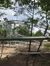 Copperhead Mountain Coaster