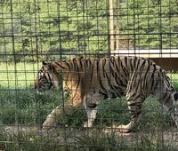 Best animal sanctuary i have ever been to..XYZKevin Krites - Leavenworth Kansas, Kansas