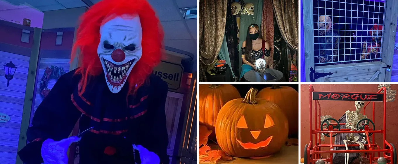 Great Pumpkin Adventure