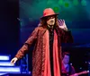 A performer dressed in a red and black patterned outfit and hat is on stage under colorful lights gesturing expressively