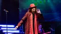 Classic Rock Icons Photo
