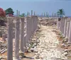 The image shows a lush green landscape with the text Where Jesus Walked overlaid on top