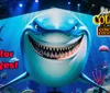 The image shows a vibrant underwater scene with a smiling cartoon shark colorful sea creatures and the text Fun for all ages along with The Columns Concert and Event Center logo