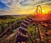 On the Roller Coaster