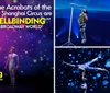 The image shows an acrobat balancing on a unicycle on top of a giant ball with colorful glowing background and quotes praising the New Shanghai Circus