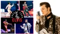 A Tribute To The King Branson Elvis Show Photo
