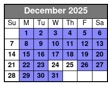 Christmas Lights Van Tour December Schedule