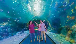 Popular Aquariums & Zoos