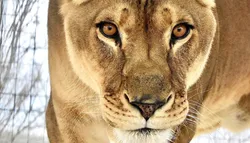 Popular Aquariums & Zoos